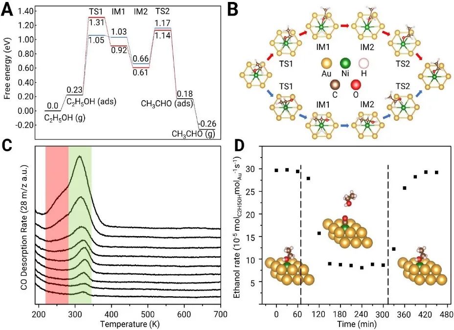 JACS：研究NiAu单原子合金催化乙醇脱氢的机理和电子学