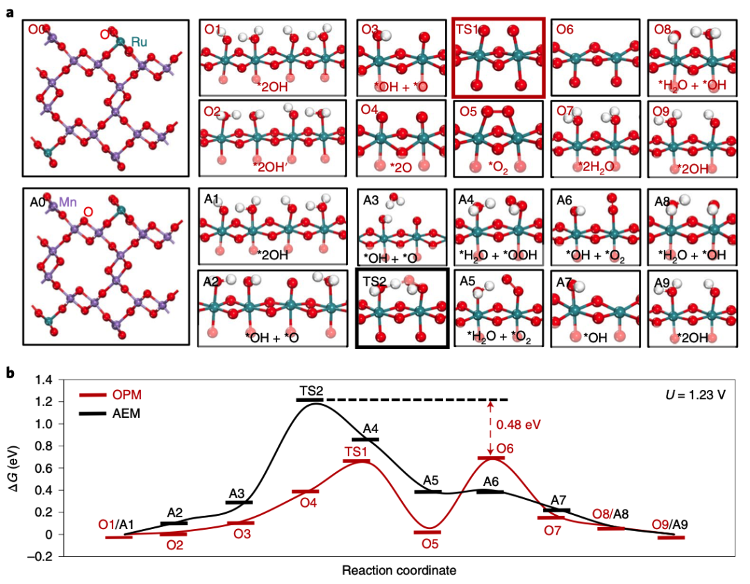 李小鹏/刘智攀/姜政等Nature Catalysis：酸性电解水催化剂突破！