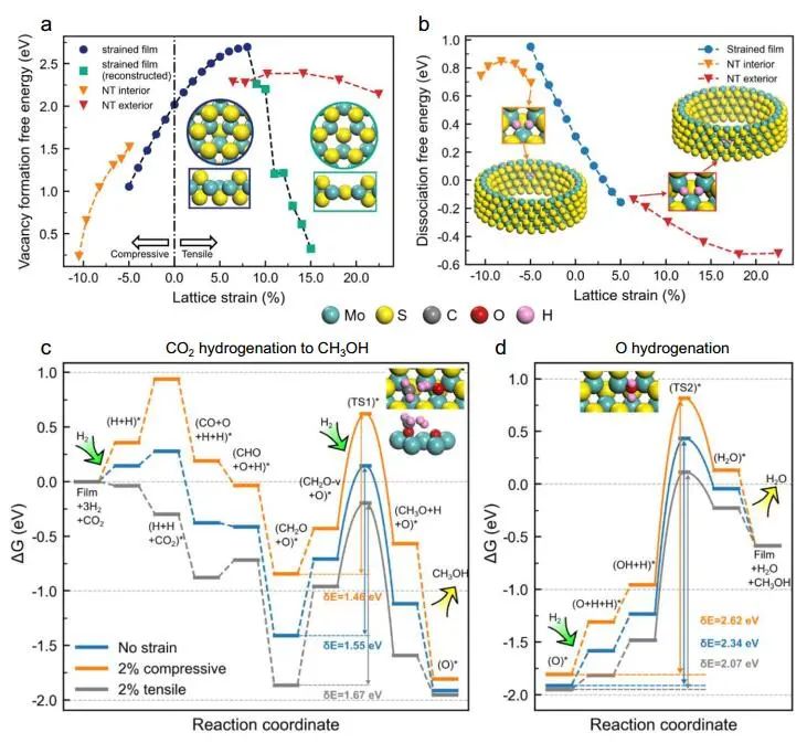 曾华淳等Nature子刊：Cu/MoS2@SiO2助力CO2加氢制甲醇