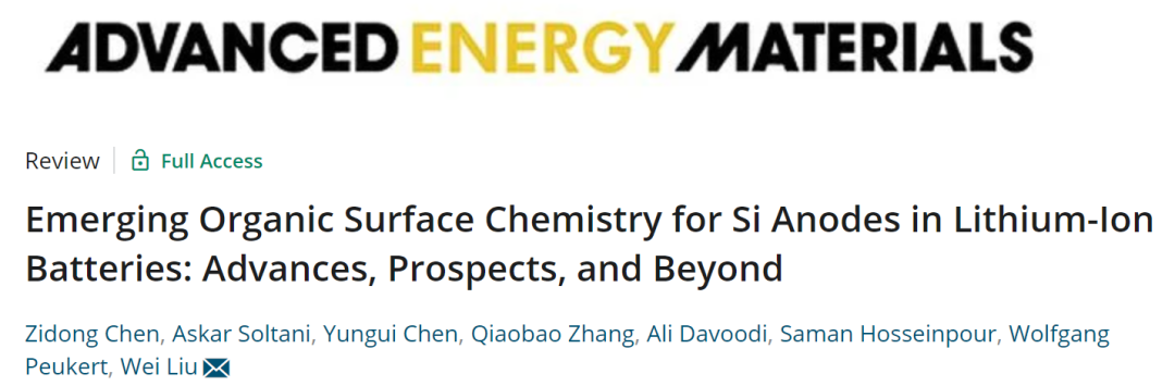 AEM综述：锂离子电池中硅负极的新兴有机表面化学进展及前景