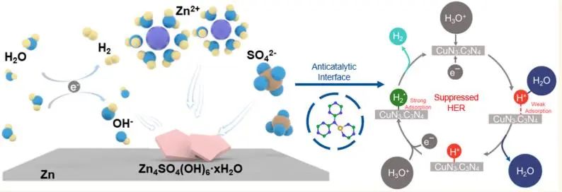 ​乔世璋ACS Nano：通过抗催化界面抑制析氢制备高效水系锌离子电池