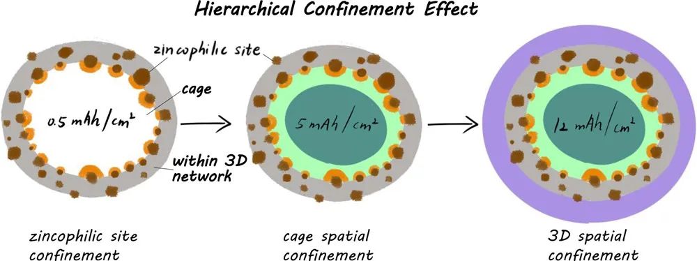 复旦/南大Nano Lett.: 基于亲锌位点+碳笼的分级限域实现稳定水系锌电！