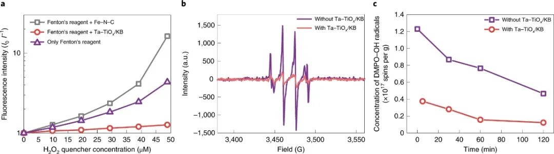 胡良兵等人，最新Nature Energy！