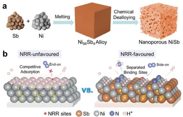 南开AM: 调控纳米多孔NiSb竞争吸附位点来增强氮电还原