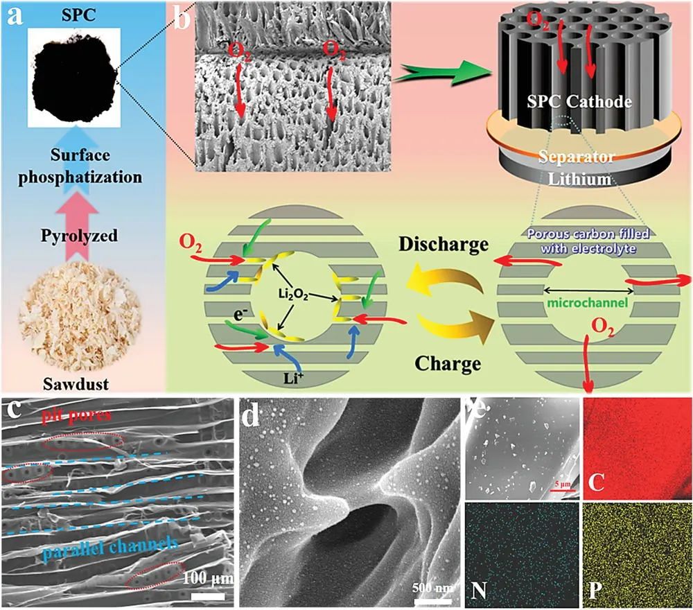 麦贤敏/党锋AFM: 表面磷化的锯末衍生碳电催化剂助力高性能锂氧电池