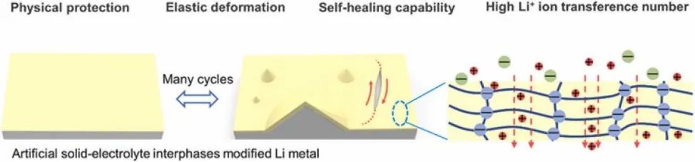 广西大学蒲雄Nano Energy：自修复单离子导电人工SEI稳定锂金属负极