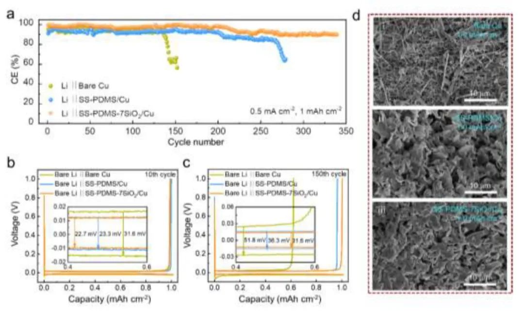 广西大学蒲雄Nano Energy：自修复单离子导电人工SEI稳定锂金属负极