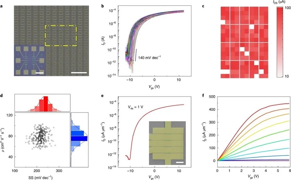 一周连发两篇Nature Nanotechnology！这个团队不简单！