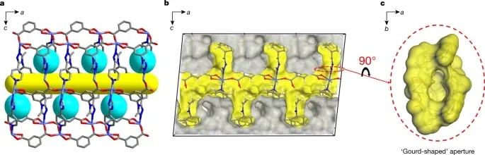 独立完成！暨南大学2021年第1篇Nature