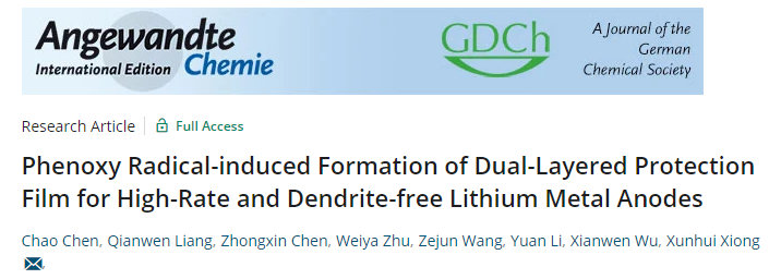 华南理工熊训辉Angew：苯氧自由基诱导形成双层保护膜实现无枝晶锂负极