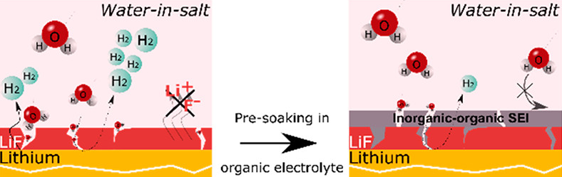 ACS Energy Lett.：无机涂层能否用作水系超浓电解液的稳定SEI？