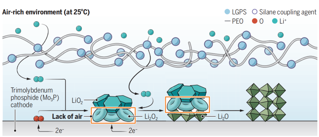 强势！锂电池，一天两篇Science！