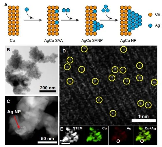 ​催化顶刊集锦：Nature子刊、Angew、AFM、ACS Nano、ACS Energy Lett.等成果