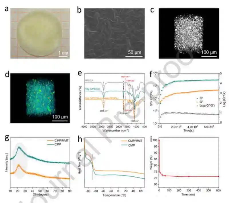 西交丁书江Nano Energy：金属锂电池聚合物固体电解质中蒙脱石的局部电场效应