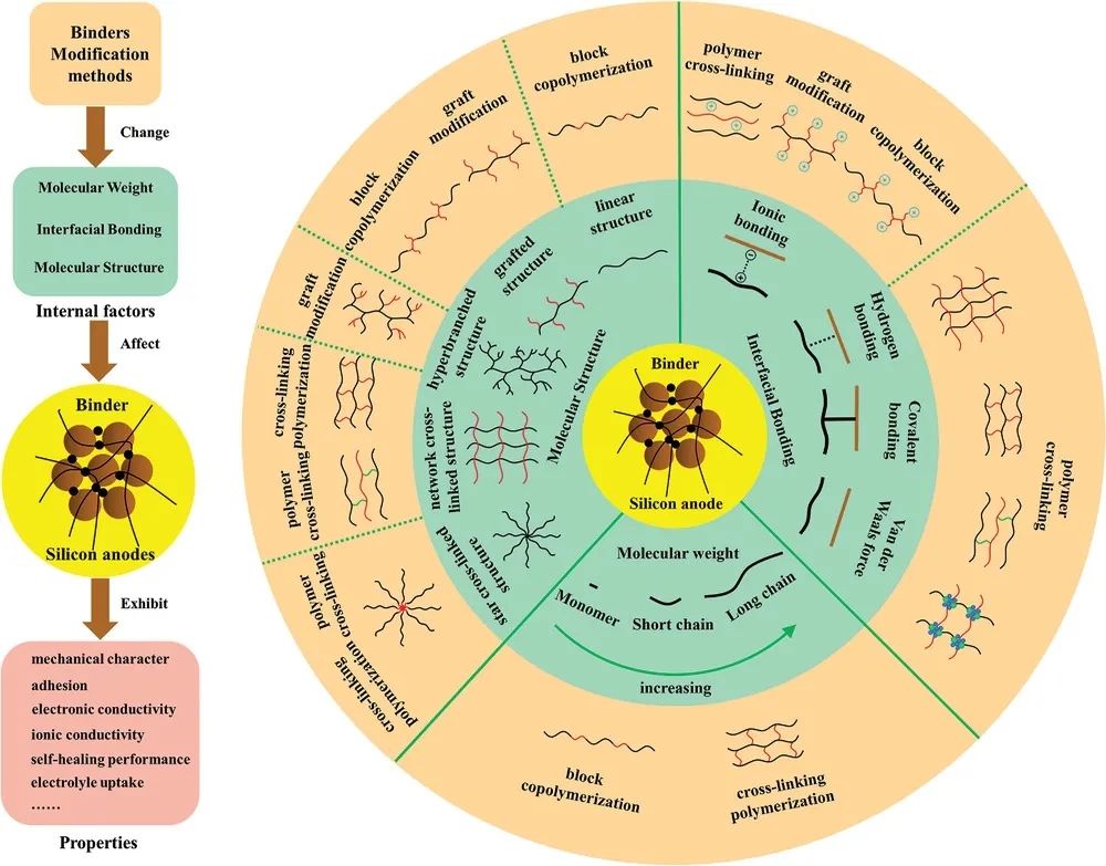 侴术雷/王保峰Small: 通过粘结剂的分子设计增强硅负极电化学性能的关键因素