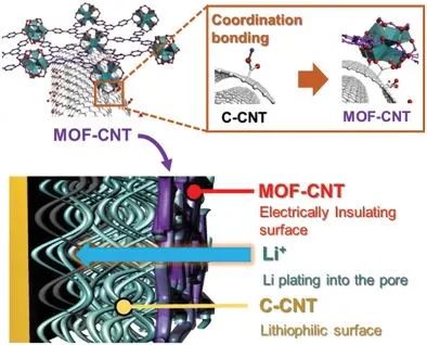 德州农工大学AFM: 多孔碳纳米管支架MOF层的镀锂调节实现大累积容量