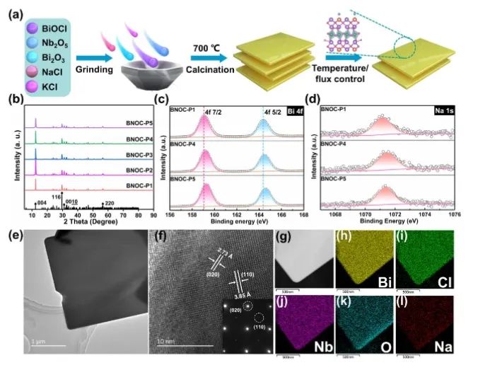 ​催化顶刊集锦：Nature子刊、Angew、AFM、ACS Nano、ACS Energy Lett.等成果