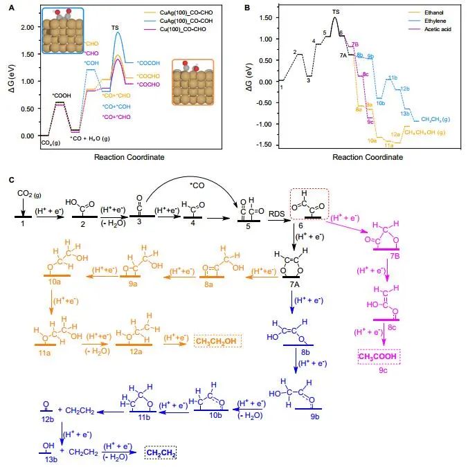 ​吴一民等Nature子刊：AgCu单原子合金和Ag纳米颗粒级联电催化CO2还原