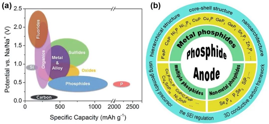 浙工大陶新永/刘铁峰Nano Energy：提高钠离子电池磷化物负极性能的策略