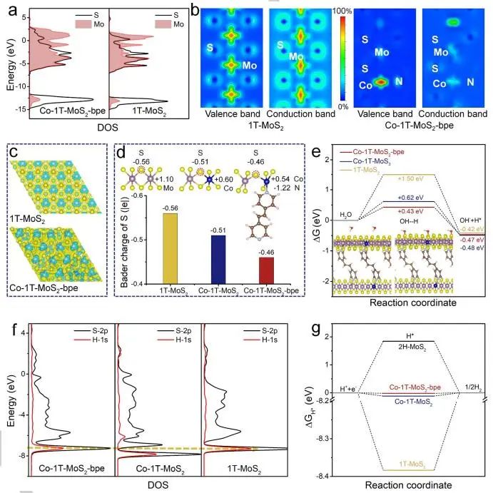 董斌团队Angew：Co-1T-MoS2-bpe碱性介质中电催化HER