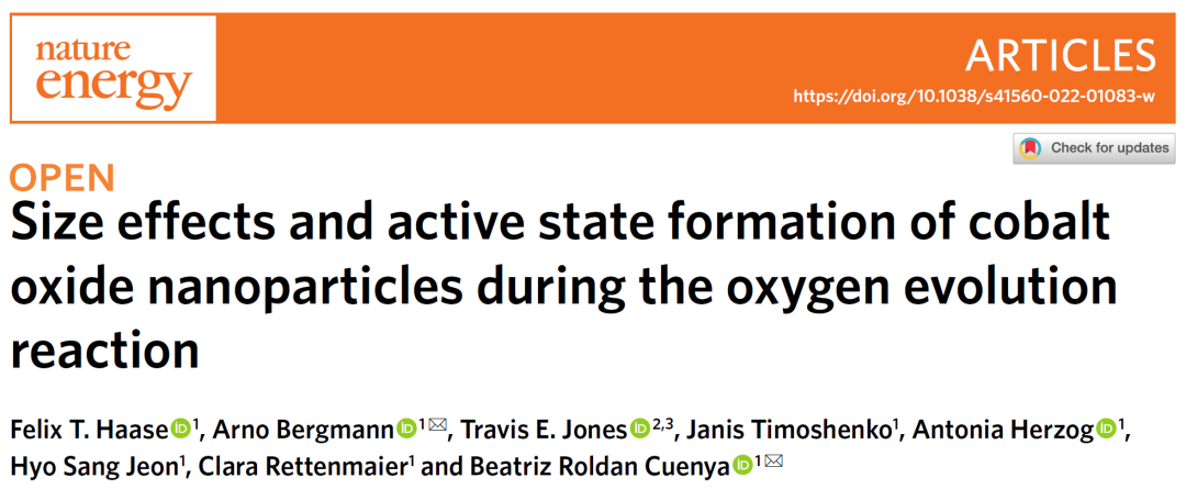 当氧化钴碰上氧析出，成就一篇Nature Energy！