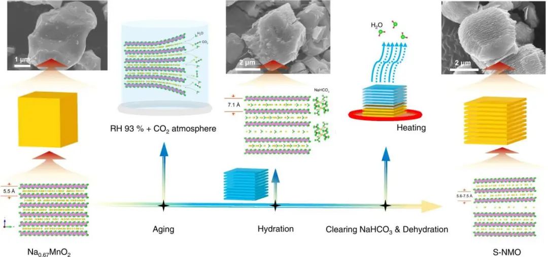 厦大杨勇/王鸣生Nature子刊: 设计Na+层间距用于稳定钠离子电池的Mn基层状正极