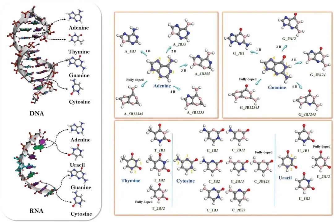 电池顶刊集锦：Mater. Today/AFM/JACS/Adv. Sci./EnSM/Nano Lett.等成果速递