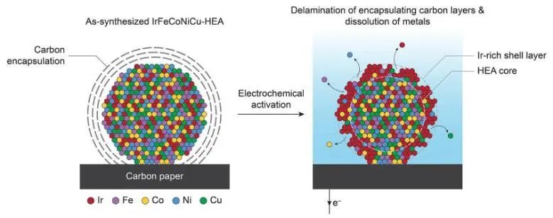 催化顶刊集锦：JACS、EES、Angew.、Chem、AFM、ACS Nano、ACS Catal.等成果