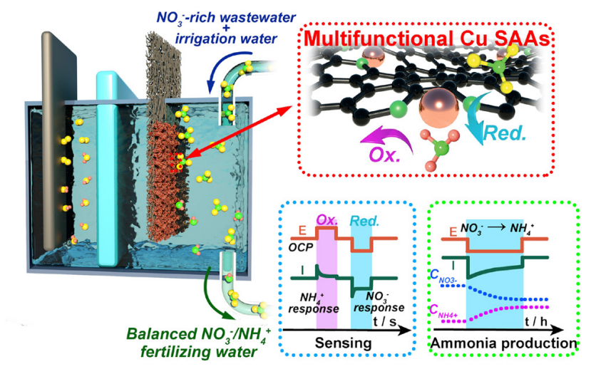 余桂华教授，同日连发JACS、PNAS！