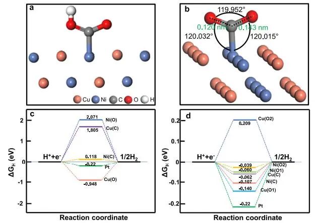 催化顶刊集锦：Nature子刊、JACS、Angew.、AFM、Nano Letters、ACS Catal.等成果