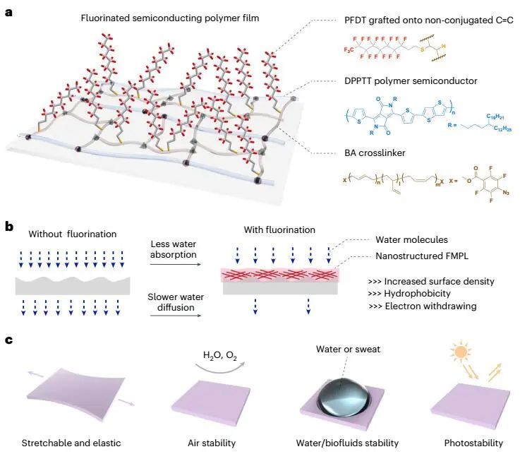 鲍哲南，最新Nature Nanotechnology！