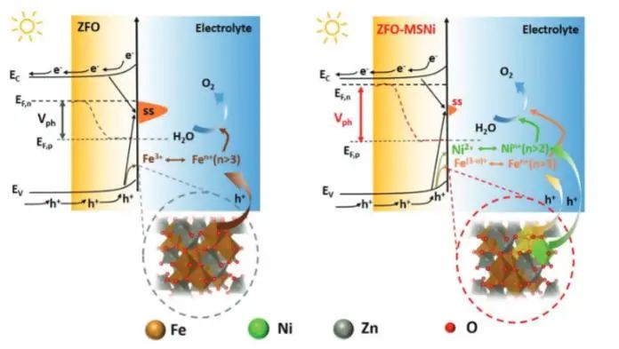 鲍骏/朱晓娣Adv. Sci.：ZnFe2O4上构建Ni−Fe双活性中心，高效促进光电化学水氧化