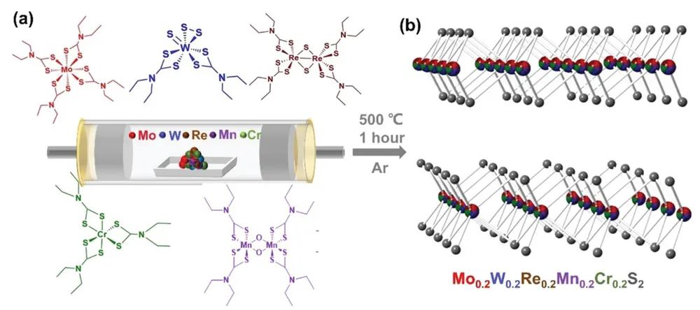 Adv. Sci.：用于析氢反应的高熵二维过渡金属二硫化物催化剂的低温合成路线