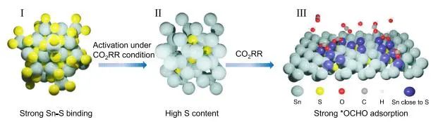 催化顶刊集锦：JACS、Nat. Commun.、ACS Catal.、AFM、ACS Nano等成果