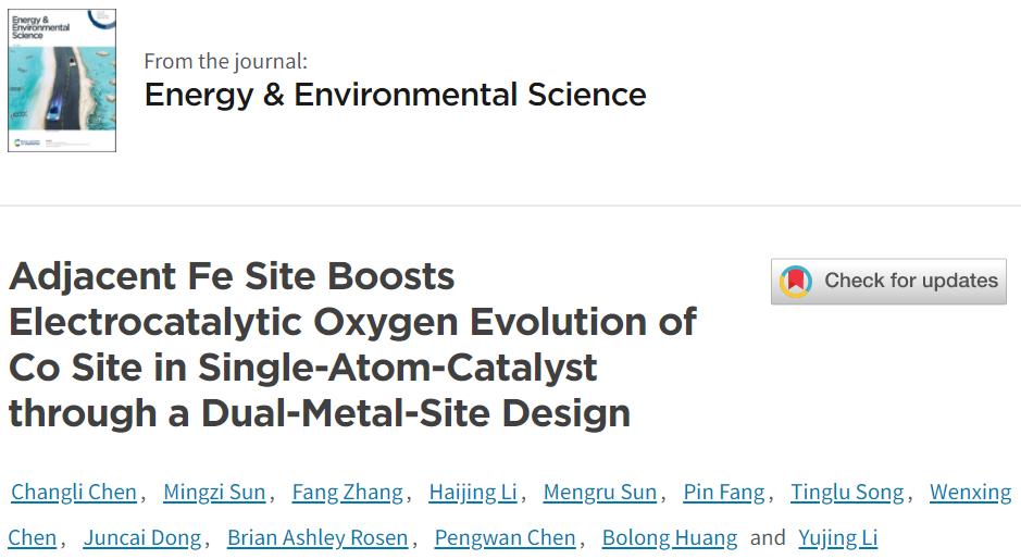 李煜璟/黄勃龙EES：Fe-Co双原子催化剂助力OER