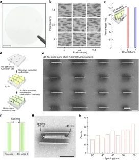 北京大学彭海琳教授，重磅Nature！