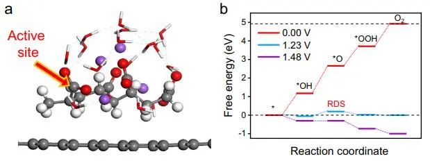 催化顶刊集锦：Nature子刊、Angew.、JACS、AEM、ACS Catalysis等成果