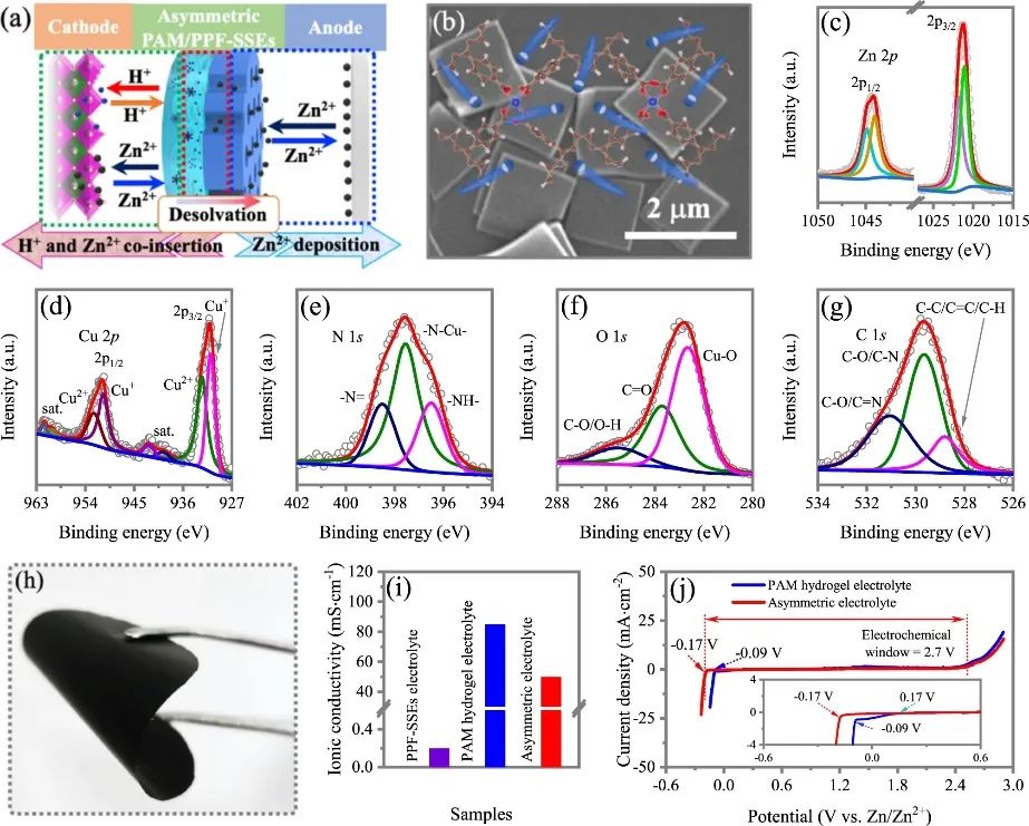 支春义教授团队，最新Nature子刊！