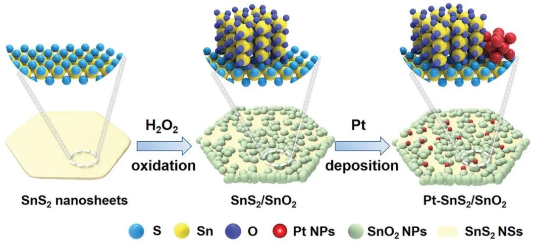 催化顶刊集锦：AFM、JACS、Adv. Sci.、ACS Nano、JMCA、CEJ等成果