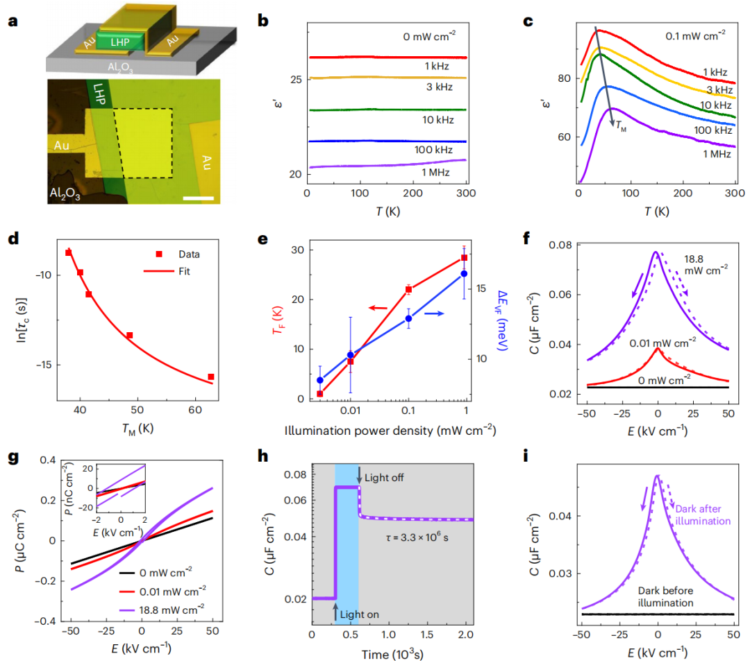 段镶锋教授/平远教授，最新Nature Nanotechnology！