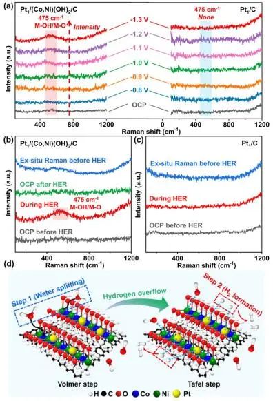 催化顶刊集锦：Nature子刊、EES、JACS、Angew.、ACS Catal.、AFM等