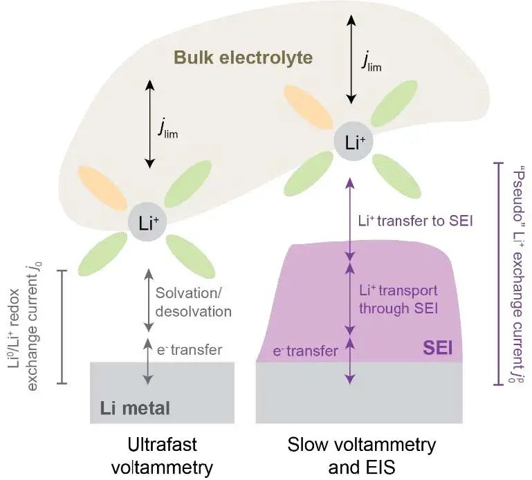 EES：通过电化学Li+交换揭示原生SEI的有益与抑制钝化作用