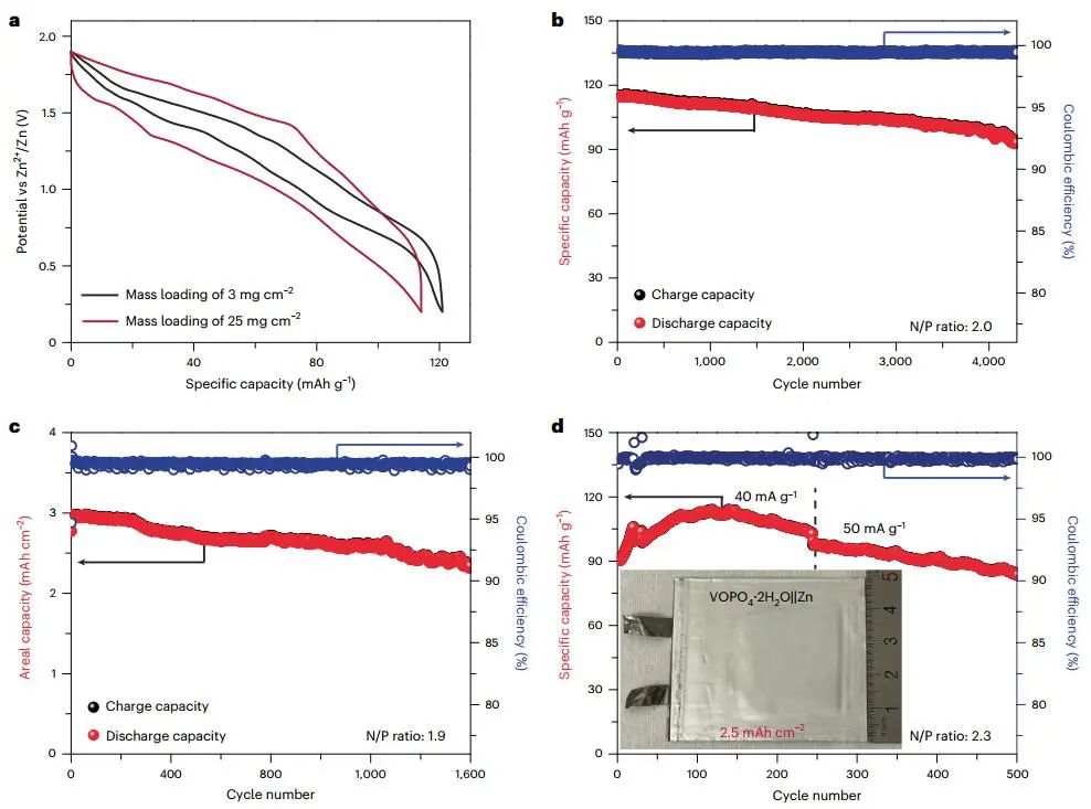 纪秀磊等Nature Sustainability：CE近100%！可充电水系ZMBs新突破