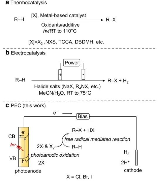 催化顶刊集锦：Nature、JACS、Nano Energy、ACS Catal.、Chem. Eng. J.等成果