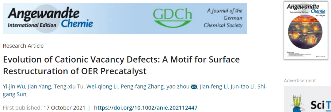 厦大李君涛/周尧Angew.：阳离子空位缺陷的演变：OER预催化剂表面重构的基序