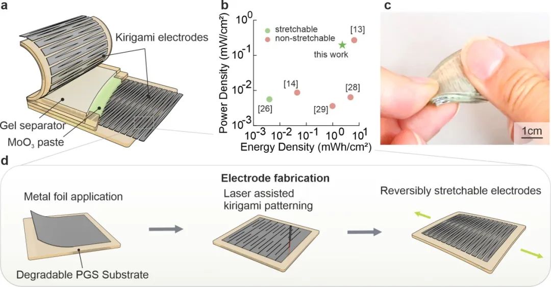 AM：兼具高能量/功率密度的可拉伸生物降解电池!