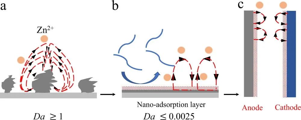 大牛Archer教授Nature子刊: 通过离子-低聚物界面实现快充水系锌电池！