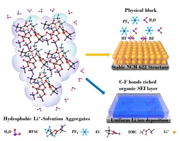 湖大马建民Angew：添加剂促使疏水锂离子溶剂化结构，成功抑制LiPF6水解！