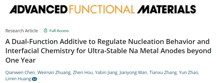 ​南科大黄立民AFM：双功能添加剂实现循环超过一年的超稳定钠金属负极