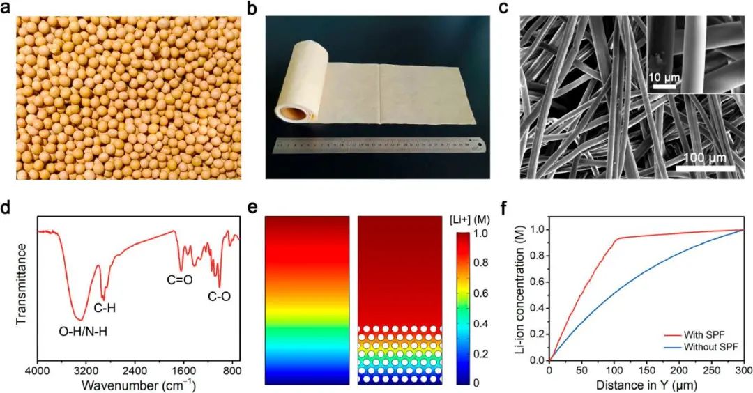 浙工大陶新永Nano Letters：稳定锂金属电池的基于大豆蛋白纤维的人工SEI